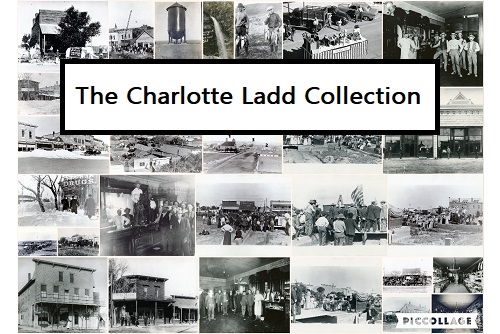 The Charlotte Ladd Collection