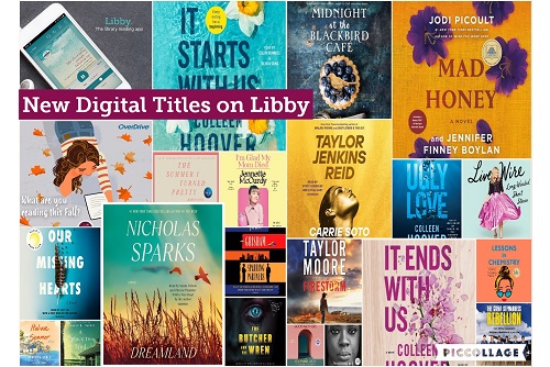 New digital titles added to Libby