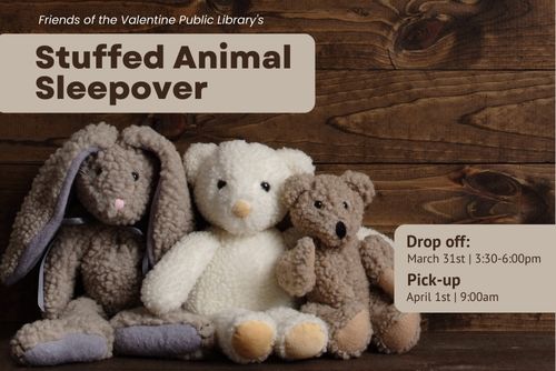 Join us for the Stuffed Animal Sleepover