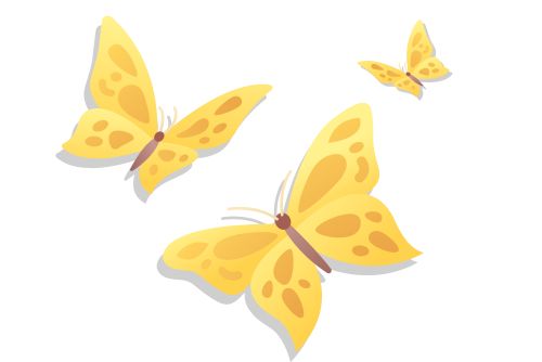 3 yellow butterflies