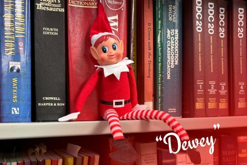 Meet Our Elf on the Library Shelf